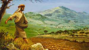 THE PARABLE OF THE SOWER